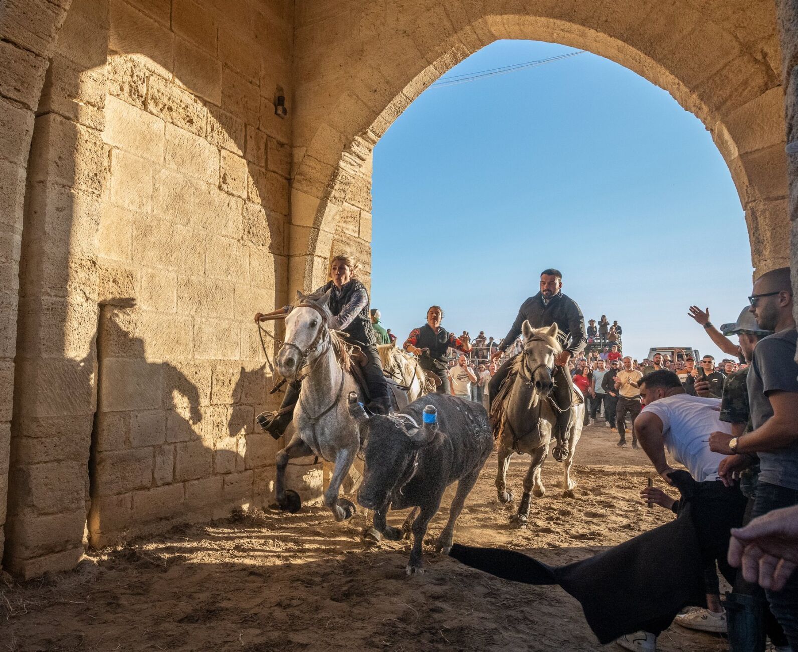 First Place -- Running the Bulls in the Camargue
